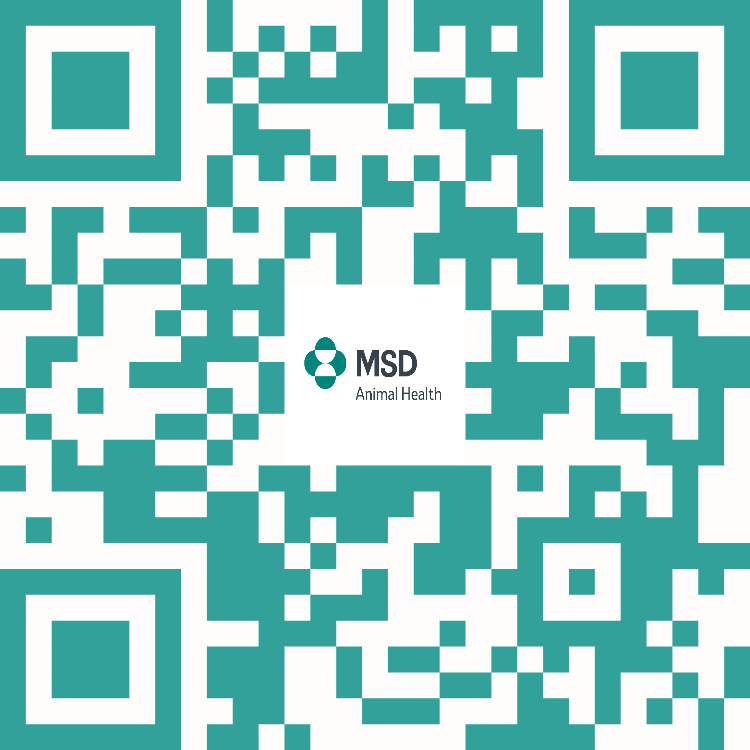 Mã QR để quét để truy cập ZALO OA