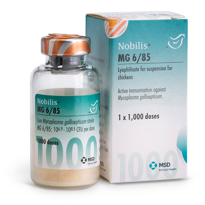 Nobilis® MG 6/85